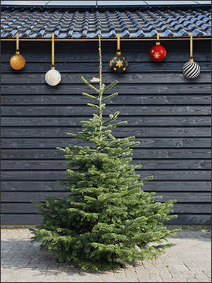 150 tot 175 cm (GEEL)