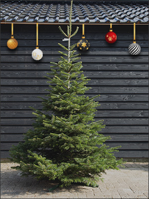 200 tot 250 cm (WIT)