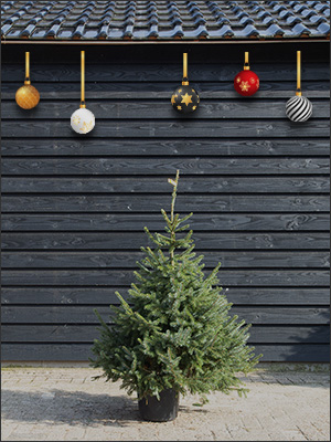 100 tot 125 cm (GEEL)