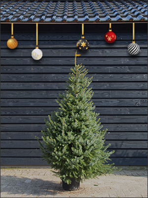 150 tot 175 cm (ORANJE)