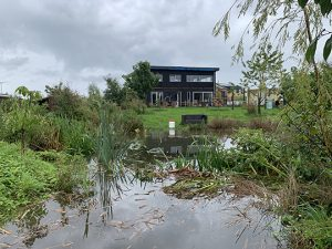 Murk uit Oosterwold