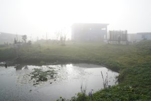 Murk uit Oosterwold