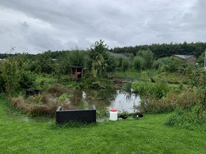 Murk uit Oosterwold